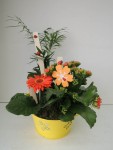 composition-florale-flutre-eu33