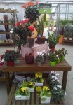compositions-florales-magasin-flutre