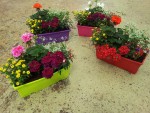 jardiniere-fleurs-fleuriste-flutre-eu