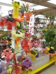 magasin-fleurs-fleuriste-flutre