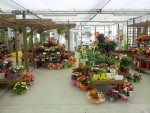 magasin-fleurs-fleuriste-flutre-eu